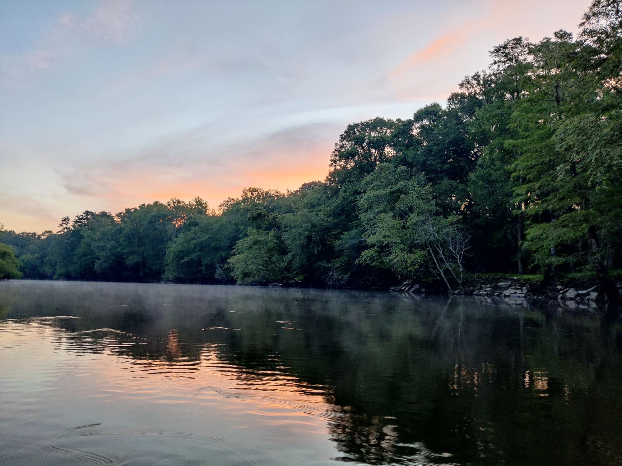 Schedule of Services